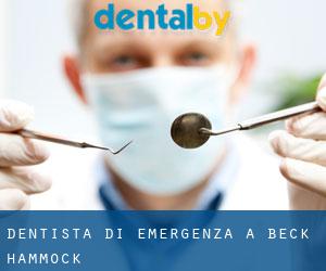Dentista di emergenza a Beck Hammock