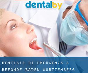 Dentista di emergenza a Beeghof (Baden-Württemberg)