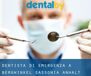 Dentista di emergenza a Bergwinkel (Sassonia-Anhalt)