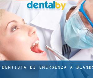 Dentista di emergenza a Blands
