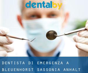 Dentista di emergenza a Bleuenhorst (Sassonia-Anhalt)