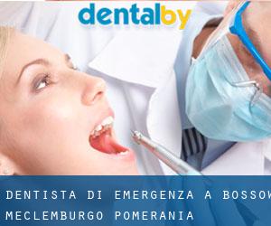 Dentista di emergenza a Bossow (Meclemburgo-Pomerania Anteriore)
