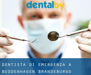 Dentista di emergenza a Buddenhagen (Brandeburgo)