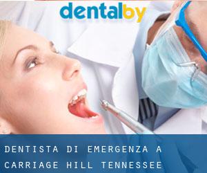 Dentista di emergenza a Carriage Hill (Tennessee)
