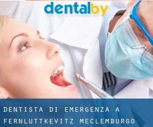 Dentista di emergenza a Fernlüttkevitz (Meclemburgo-Pomerania Anteriore)