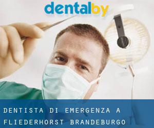 Dentista di emergenza a Fliederhorst (Brandeburgo)