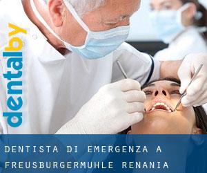 Dentista di emergenza a Freusburgermühle (Renania-Palatinato)