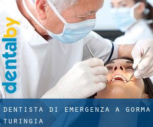 Dentista di emergenza a Gorma (Turingia)