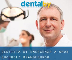 Dentista di emergenza a Groß Buchholz (Brandeburgo)