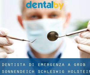 Dentista di emergenza a Groß Sonnendeich (Schleswig-Holstein)