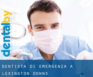 Dentista di emergenza a Lexington Downs