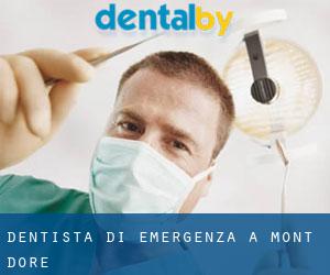 Dentista di emergenza a Mont-Dore