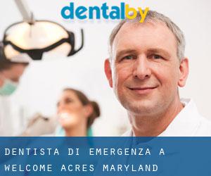 Dentista di emergenza a Welcome Acres (Maryland)
