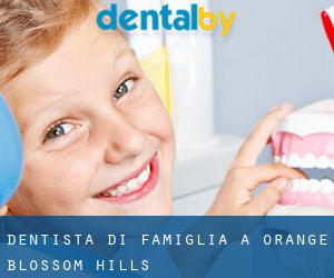 Dentista di famiglia a Orange Blossom Hills