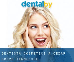 Dentista cosmetici a Cedar Grove (Tennessee)