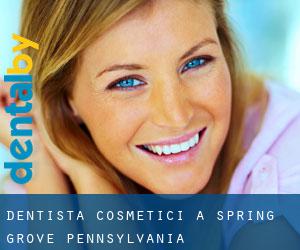 Dentista cosmetici a Spring Grove (Pennsylvania)