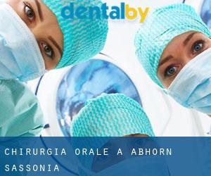 Chirurgia orale a Abhorn (Sassonia)