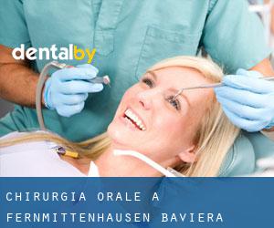 Chirurgia orale a Fernmittenhausen (Baviera)