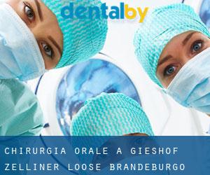 Chirurgia orale a Gieshof-Zelliner Loose (Brandeburgo)