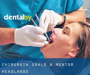 Chirurgia orale a Mentor Headlands
