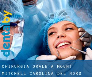 Chirurgia orale a Mount Mitchell (Carolina del Nord)