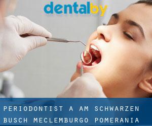 Periodontist a Am Schwarzen Busch (Meclemburgo-Pomerania Anteriore)