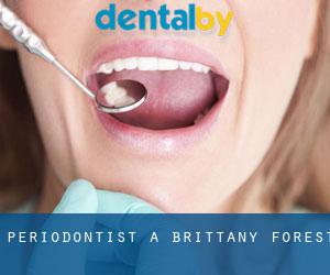 Periodontist a Brittany Forest