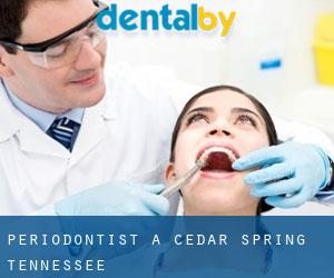 Periodontist a Cedar Spring (Tennessee)