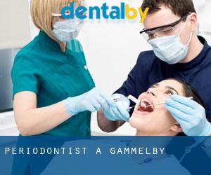 Periodontist a Gammelby