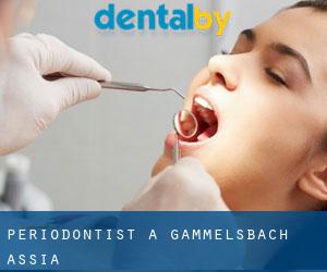 Periodontist a Gammelsbach (Assia)