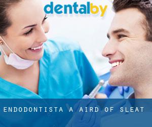 Endodontista a Aird of Sleat