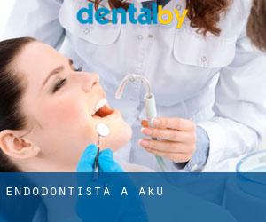 Endodontista a Aku