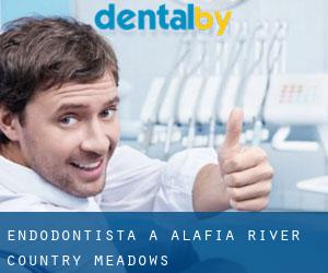Endodontista a Alafia River Country Meadows