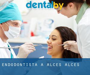 Endodontista a Alces alces