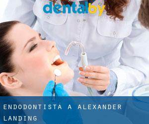 Endodontista a Alexander Landing