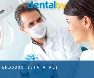 Endodontista a Alì