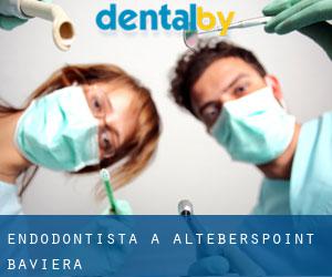 Endodontista a Alteberspoint (Baviera)