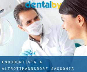 Endodontista a Altrottmannsdorf (Sassonia)
