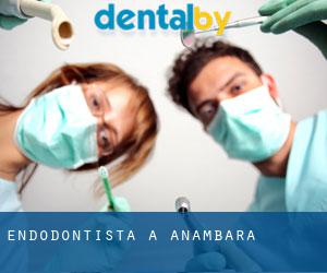 Endodontista a Anambara