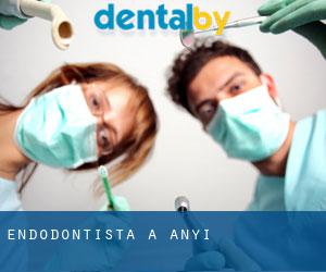 Endodontista a Anyi