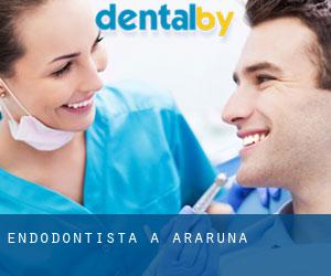 Endodontista a Araruna