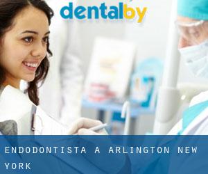 Endodontista a Arlington (New York)