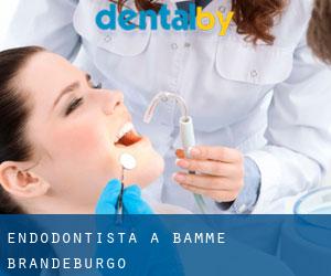 Endodontista a Bamme (Brandeburgo)
