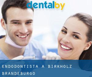 Endodontista a Birkholz (Brandeburgo)