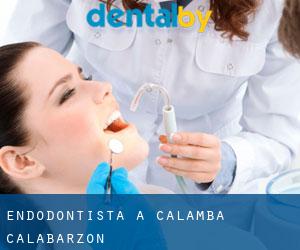 Endodontista a Calamba (Calabarzon)