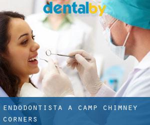 Endodontista a Camp Chimney Corners