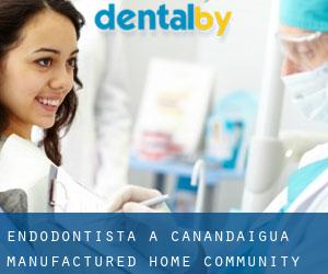 Endodontista a Canandaigua Manufactured Home Community