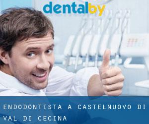 Endodontista a Castelnuovo di Val di Cecina