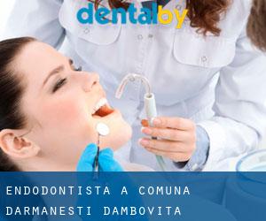 Endodontista a Comuna Dărmăneşti (Dâmboviţa)