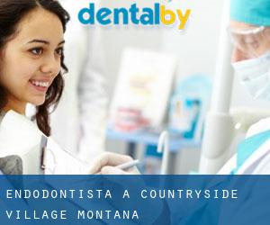 Endodontista a Countryside Village (Montana)
